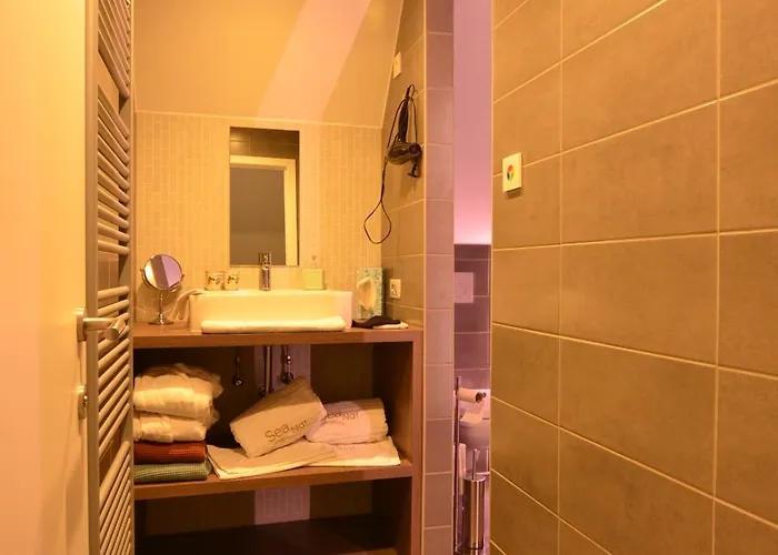 Wellness Sea Nat Voor Naturisten * Oostduinkerke